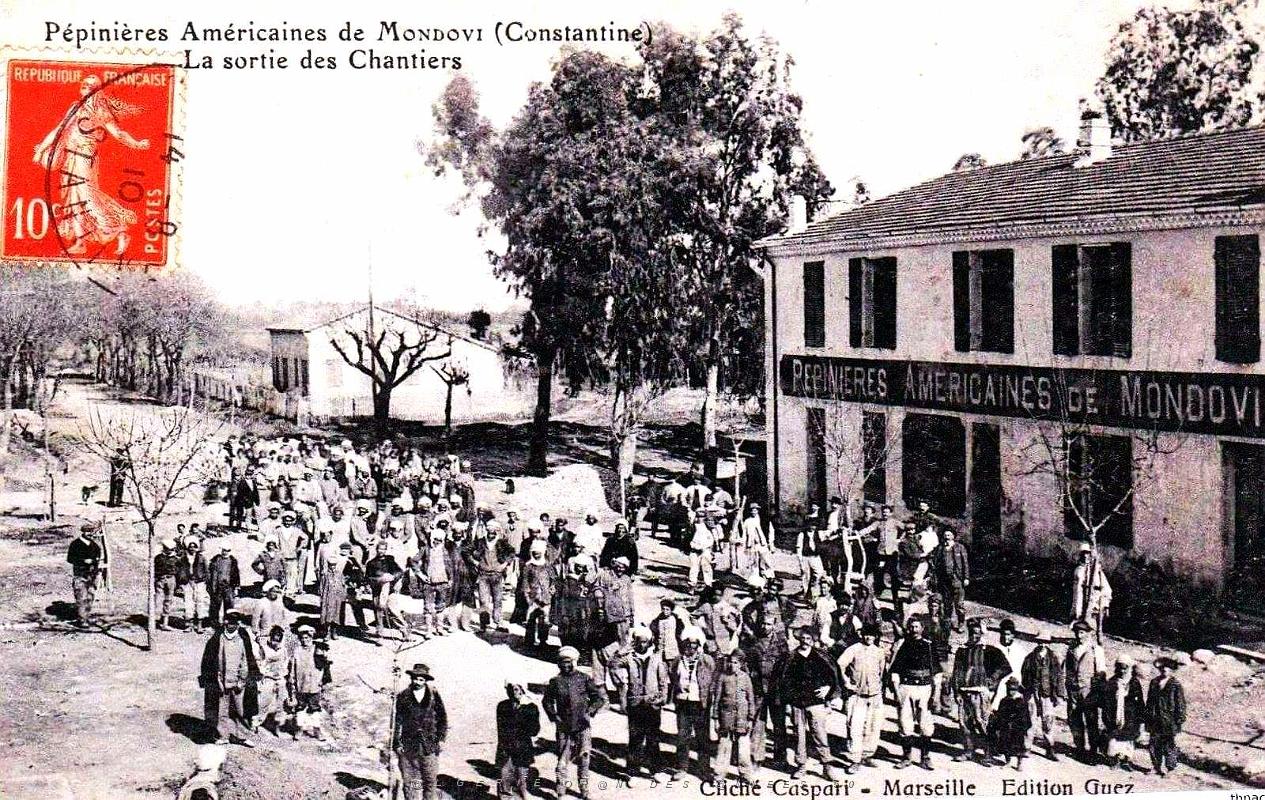 1196- Mondovi - Les Pepinieres americaines.jpg